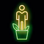 ir a la raiz sesiones de bioneuroemocion