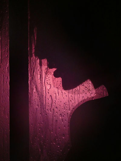 que significa cancer de riñon biodescodificacion