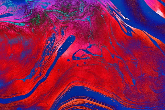 significado de riñones biodescodificacion