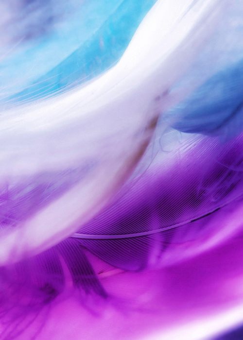 plumas dolor lumbar biodescodificacion