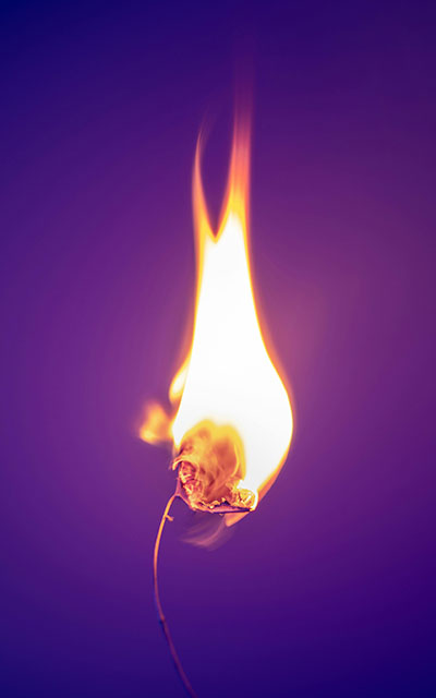 fuego quema flor simbolismo de ira que causa ictus biodescodificacion